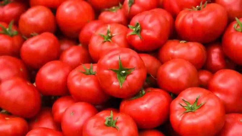 Why is Nepal helping India in tomato crisis know what is the condition?