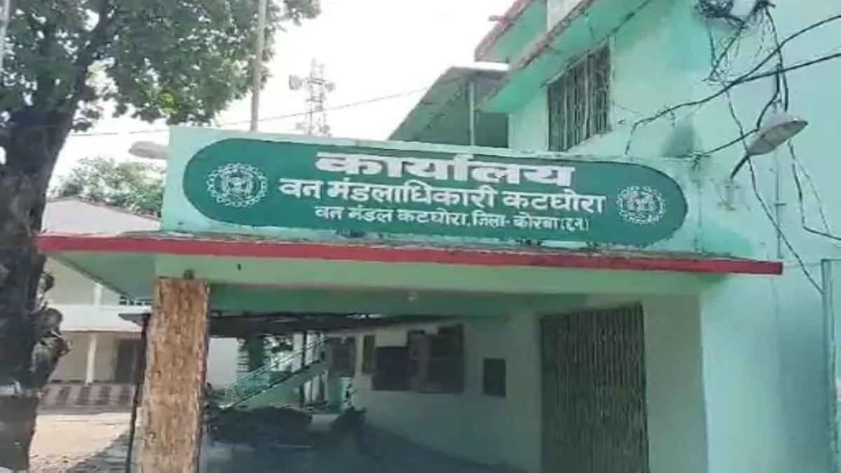 कोरबा में हाथी दे रहे जख्म तो वन विभाग लगा रहा मदद का मरहम, 4 दिन में गई तीन की जान