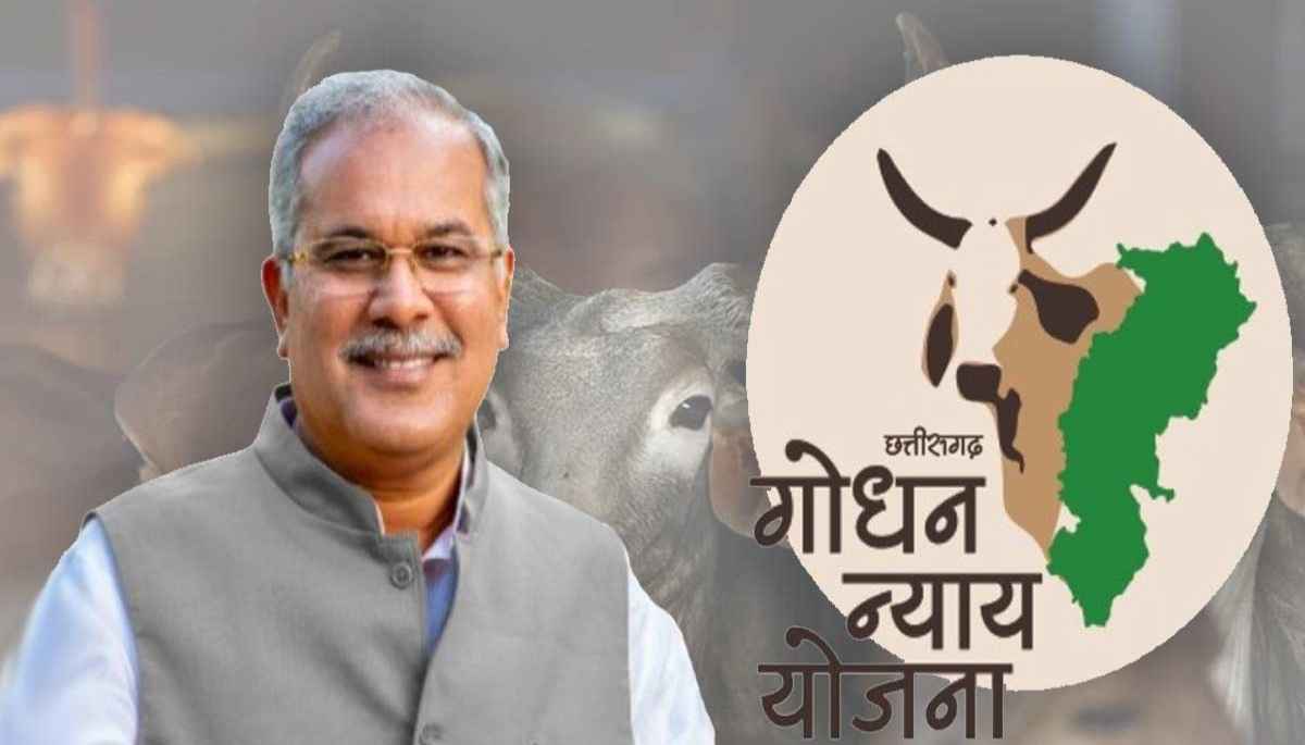 मुख्यमंत्री गोधन न्याय योजना Godhan Nyay Yojana, CM Bhupesh Baghel, Godhan Nyay Yojana Beneficiaries News, Chhattisgarh Government, Chhattisgarh News, Raipur News