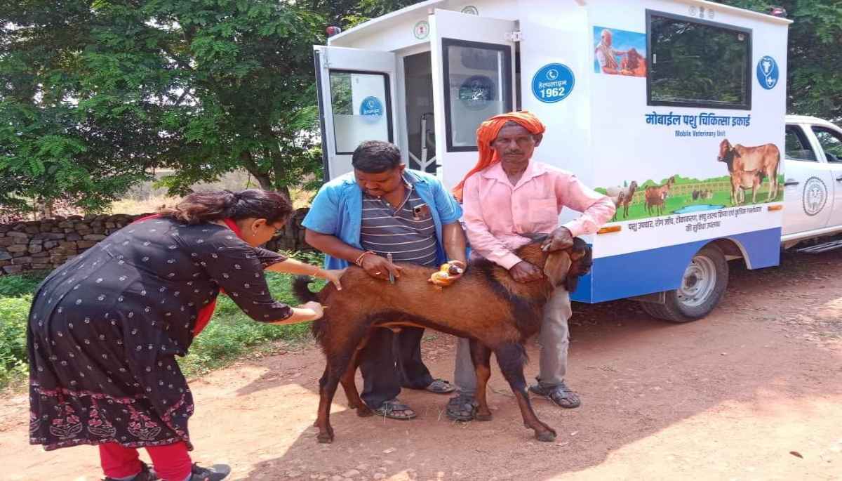 CM Cow Vansh Mobile Medical Scheme, CM Bhupesh Baghel, Chhattisgarh government, Chhattisgarh News, Raipur News