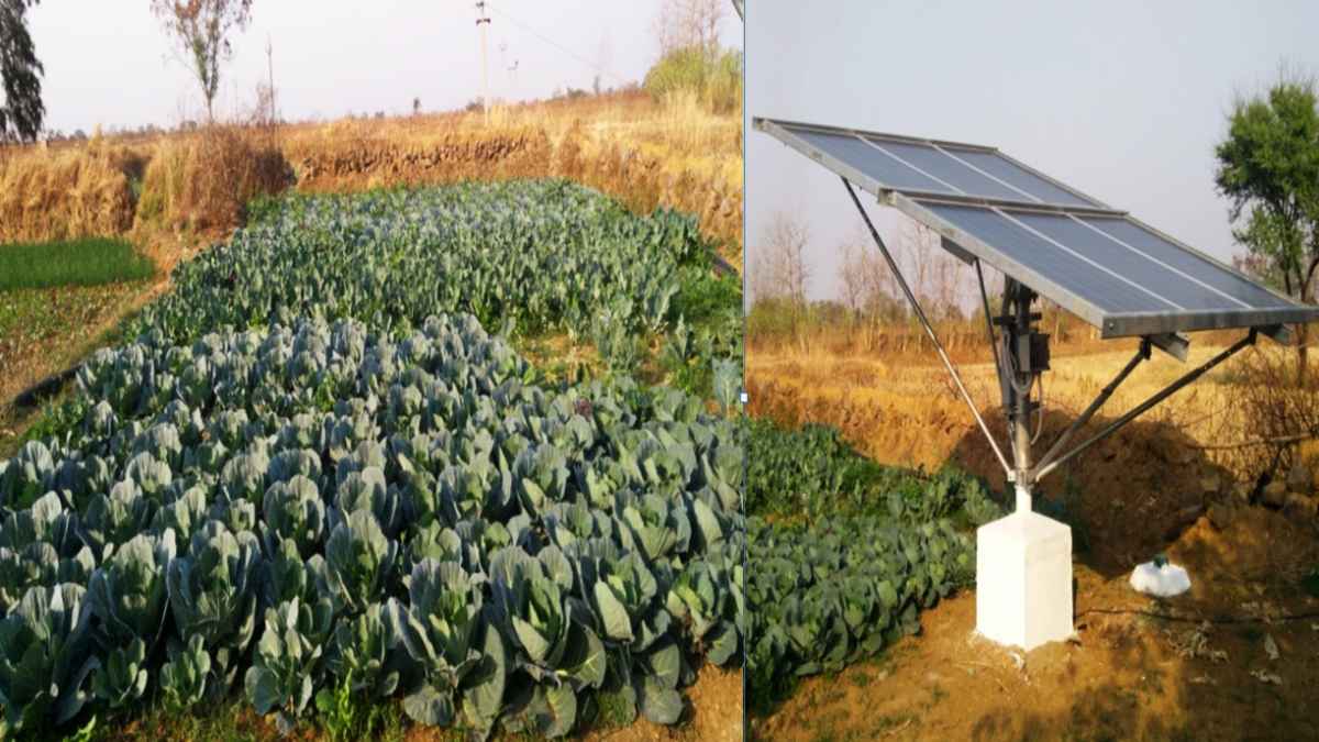Chhattisgarh: सौर सुजला योजना से किसानों की जिंदगी में फैल रही हरीतिमा