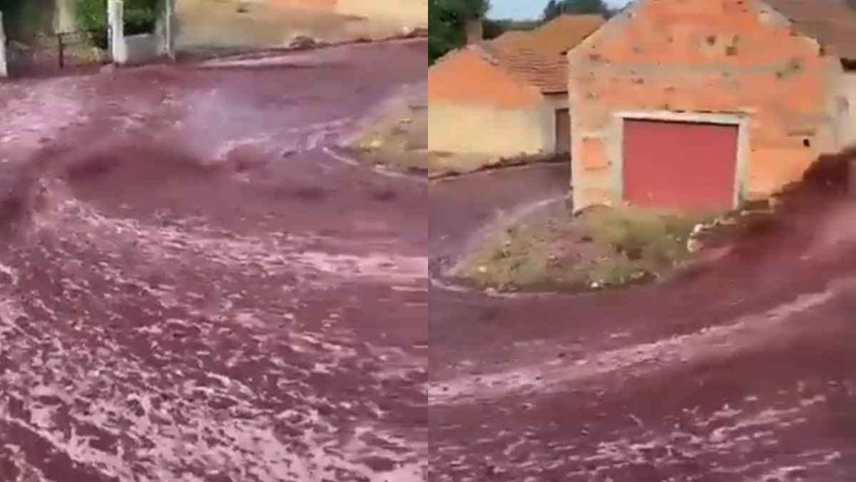 2.2 Million Litres Wine Flowed Portugal Sao Lorenco de Bairro Due To Tanks Burst 2.2 Million Litres Wine Flowed Portugal Sao Lorenco de Bairro Due To Tanks Burst
