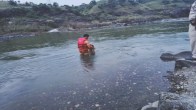 Betul Tapti River Accident, Betul River Accident, Betul News, River Accident News, Madhya Pradesh News