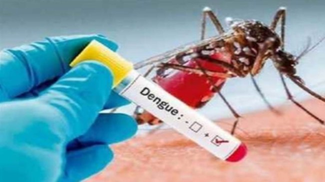 Dengue Patient News, Chhattisgarh News, Raigarh News, Health department, Dengue