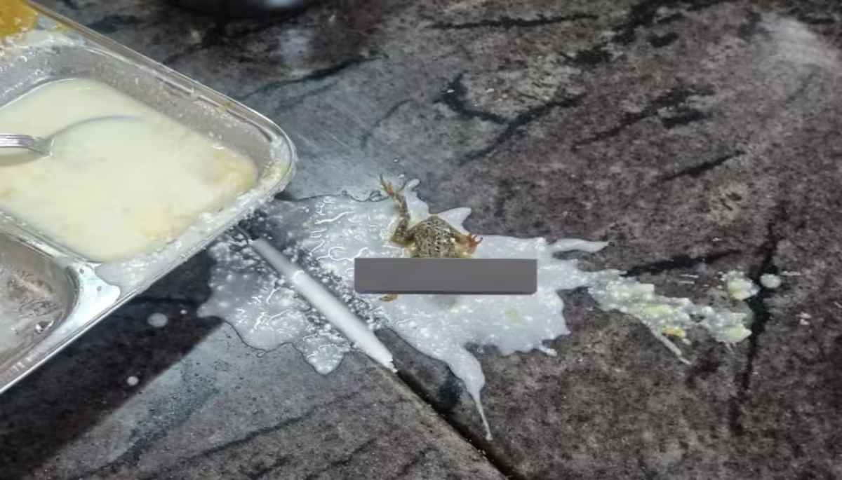 Frog Found In KIIT Bhuvneshwar College Hostel Food