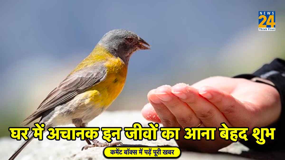 Good Omens Animal: घर में अचानक आ जाए इन 5 चीजों से कोई 1, तो समझिए बहुत जल्द बनने वाले हैं अमीर