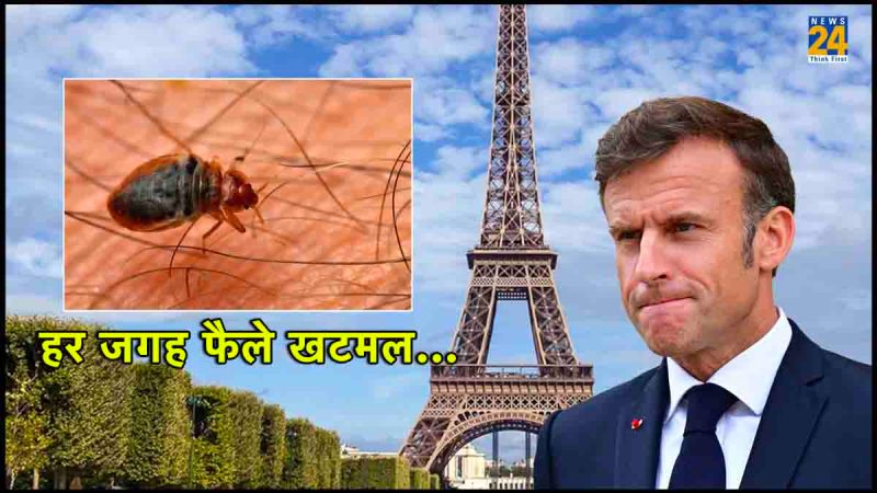 France, bed bug, Paris Olympics