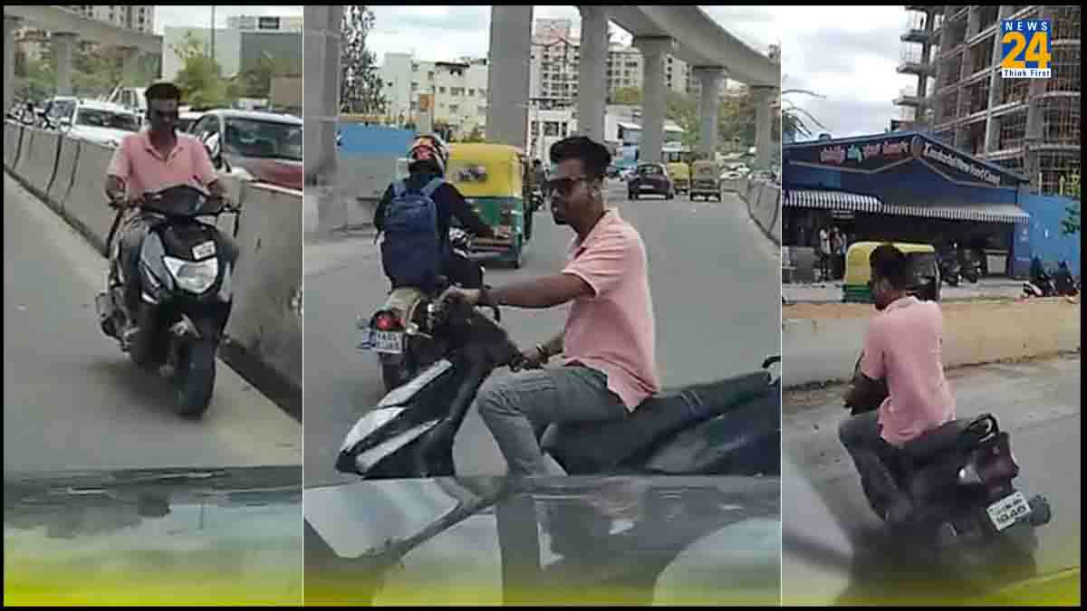 शख्स ने ट्रैफिक रूल्स तोड़ने में जड़ा शतक, सिर पर 56000  का जुर्माना, फिर भी रॉन्ग साइड ले घुसा स्कूटी, Video viral 