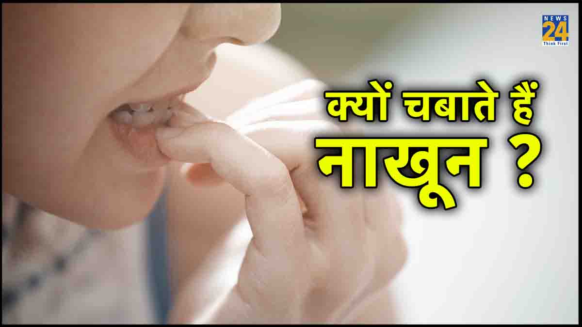 Sperm Meaning | Sperm Meaning in Hindi | Biophilia-baongoctrading.com.vn