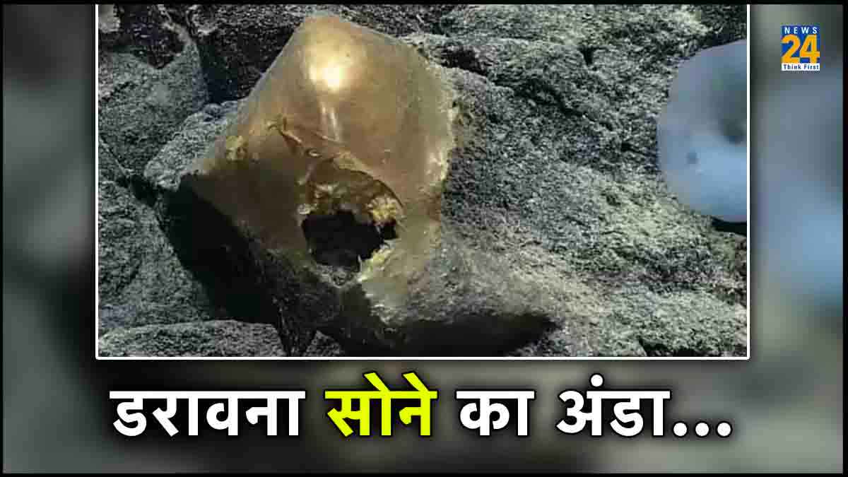 समुद्र में मिला डरावना सोने का अंडा, जानें क्या बोले वैज्ञानिक?