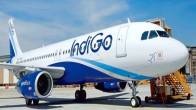 IndiGo Flight Bird Hit Emergency Landing In Bhubaneshwar