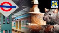 Indian Railways, Railways Lucknow division, Rats on Railway Station, RTI News, Lucknow News, UP News