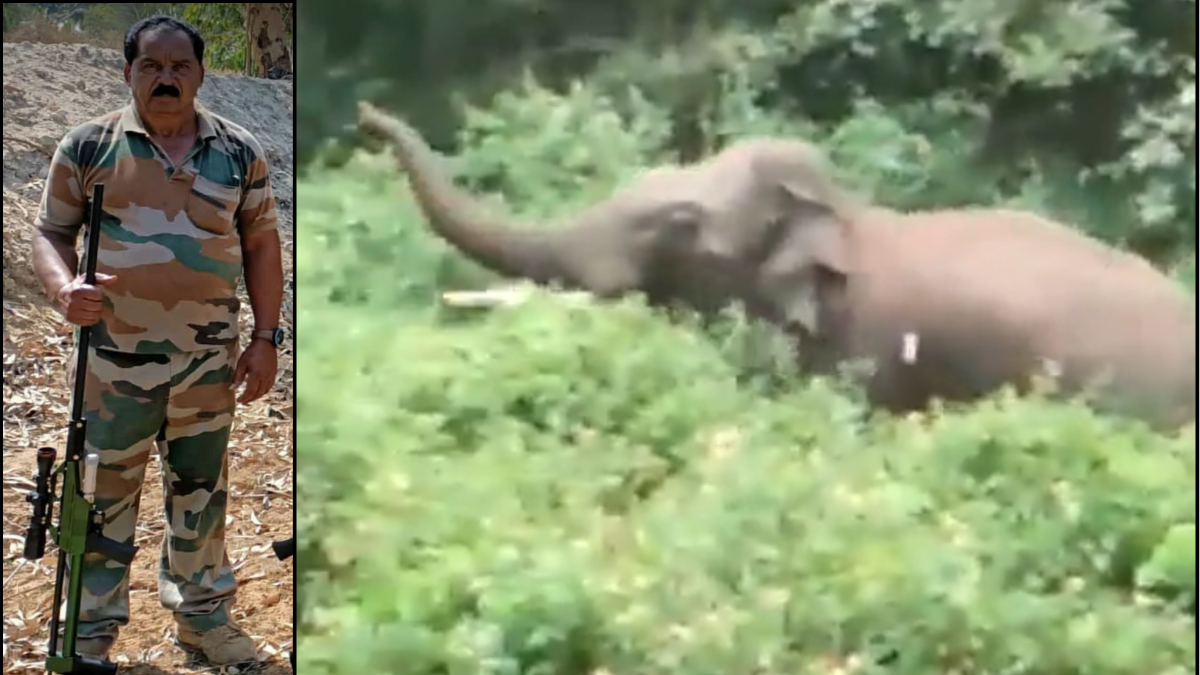 Karnataka, Elephant Attack, Forest Ranger, Viral Video