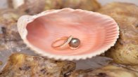 Pearls Gemstone