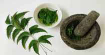 Neem Benefits, diseases cured by neem leaves, neem benefits for skin, neem benefits ayurveda, benefits of drinking boiled neem leaves water, how much neem leaf to take daily neem capsules benefits 5 uses of neem, effect of neem leaves on kidney,