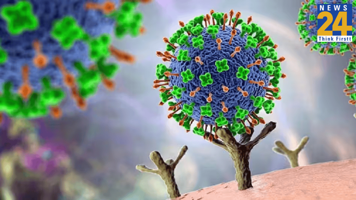 Nipah Virus, Nipah Bangladesh Strain, ICMR, Kerala