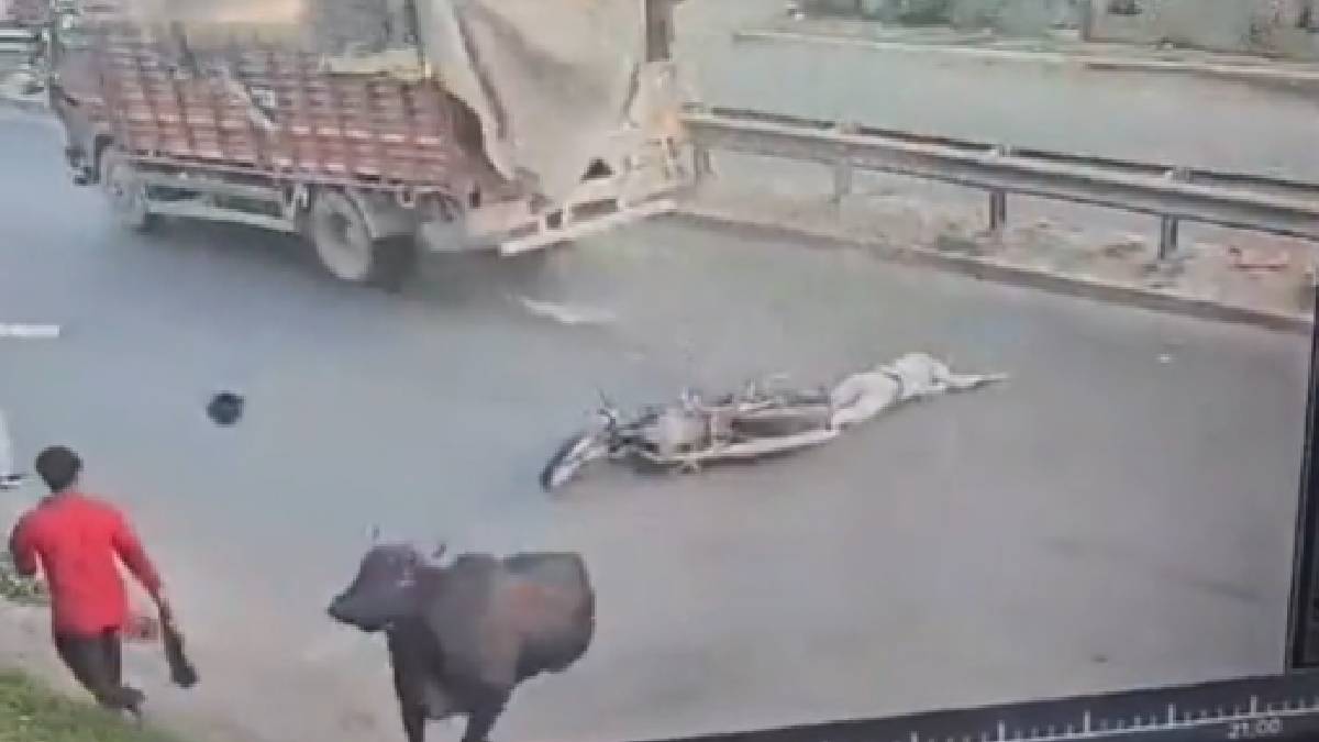 Noida Bull Hits Bike Rider Man Gets Crushed By Truck