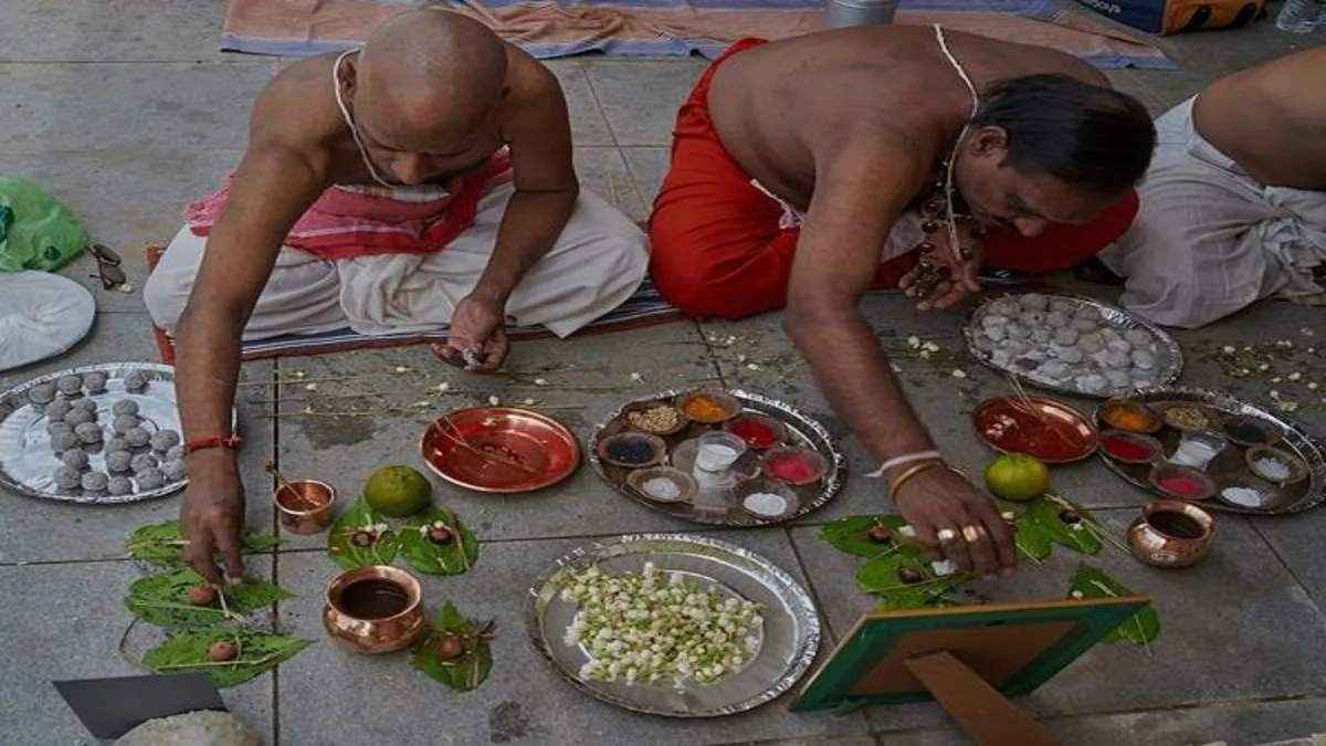 अगर पितृ पक्ष में ना कर सकें पिंडदान और तर्पण तो घर ले आएं ये 3 पौधे, पतरों की कृपा से होगी बरकत