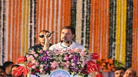 Rahul Gandhi, Chhattisgarh News, Chhattisgarh Government, Raipur News, Congress party News