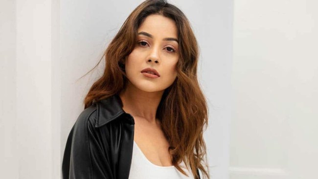 Shehnaaz Gill On Bollywood