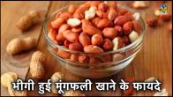 health benefits of soaked peanuts in hindi, bheegi hui moongfali khane ke fayde, Soaked peanuts benefits in hindi, benefits of eating soaked peanuts in the morning in hindi