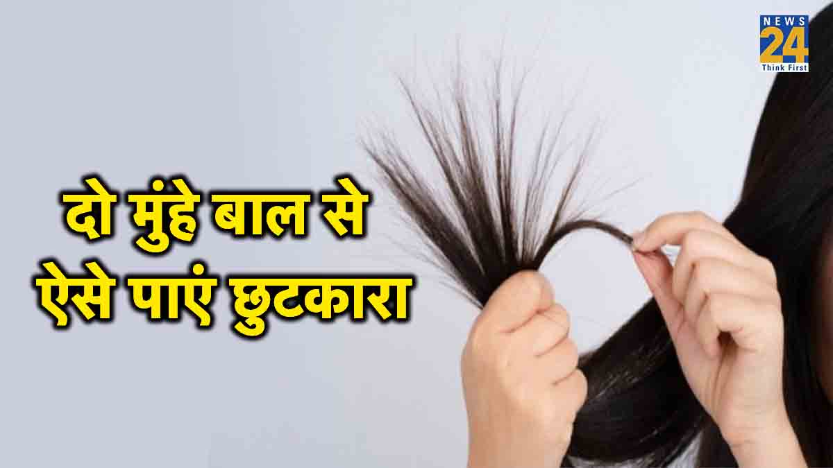 split ends home remedies, split ends home remedies in hindi, homemade hair mask for split ends, how to remove split ends at home without cutting