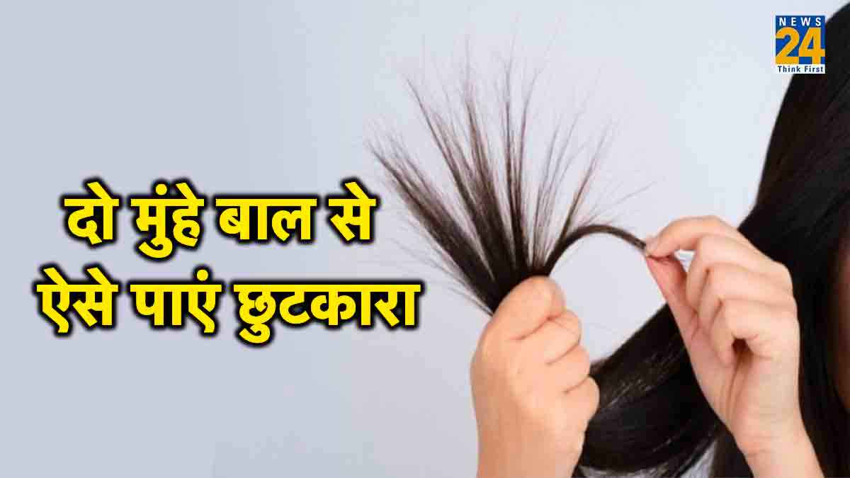 Split Ends: दो मुंहे हैं बाल तो डॉन्ट वरी, यह 6 टिप्स करेंगे कमाल, रूखापन भी होगा दूर