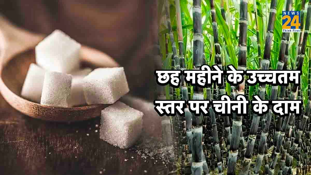 Sugar Price Hike Sugar Price Hike