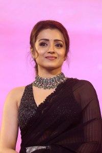 PS II Actress Trisha Krishnan Wedding