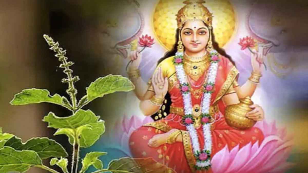 Tulsi Remedy: तुलसी में इस 1 चीज को डालने से चमकेगा भाग्य, हमेशा के लिए घर छोड़ देगी गरीबी