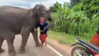 Watch Video Elephant Tried Stop Owner Who Was Going Away