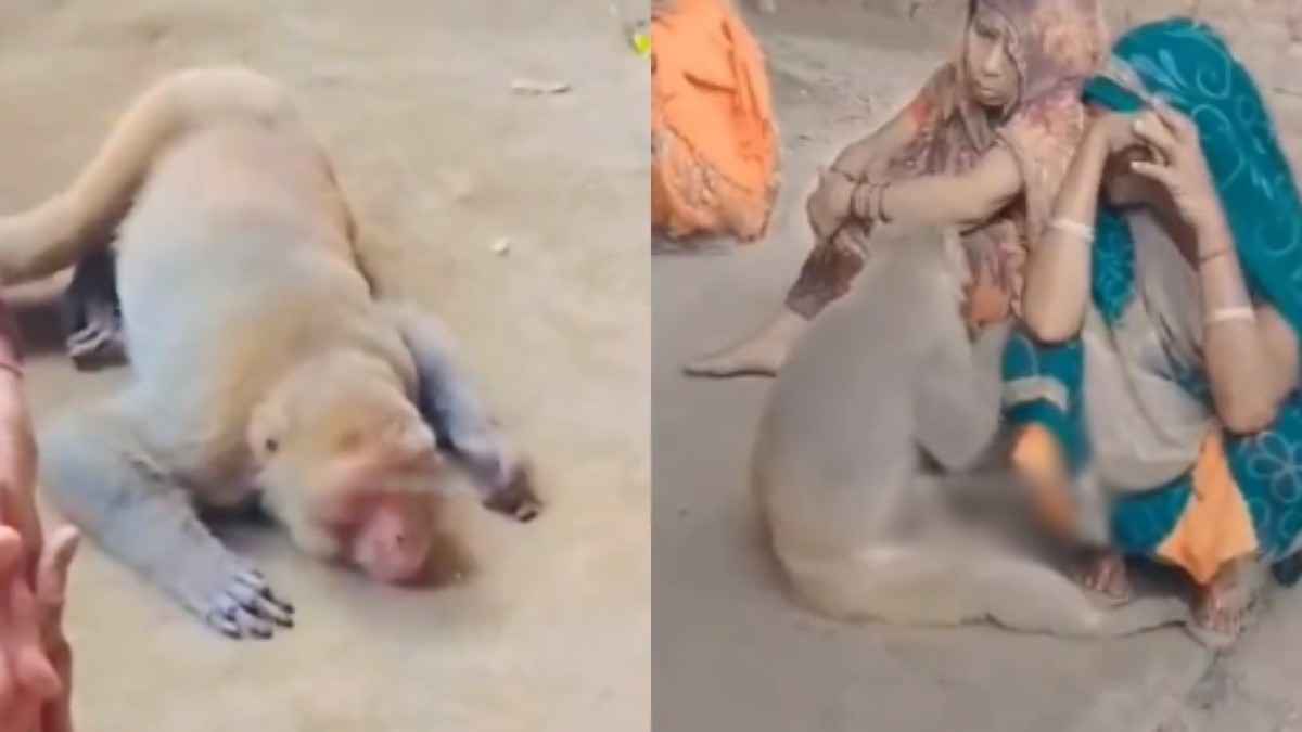 Watch Video, friendship, Lakhimpur Kheri Video, friendship Video, Viral Video, UP Video News (1) Watch Video, friendship, Lakhimpur Kheri Video, friendship Video, Viral Video, UP Video News
