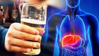 liver function,liver food,10 functions of the liver,signs your liver is struggling,20 functions of the liver,where is liver pain located