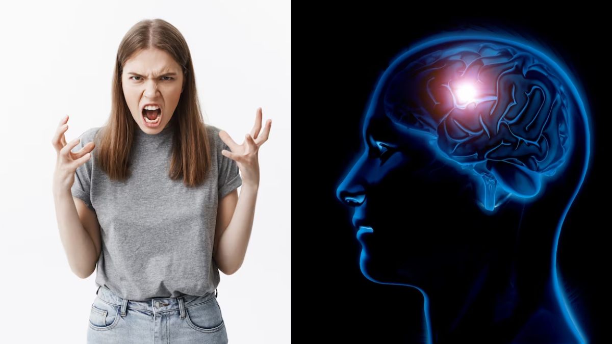 10 causes of anger,Emotional anger causes and effects,Anger causes and effects on the brain,Anger causes and effects on society,effects of anger,5 causes of anger,effects of anger on family,negative effects of anger