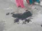 Woman Hair Cut Face Blackened In Hamirpur