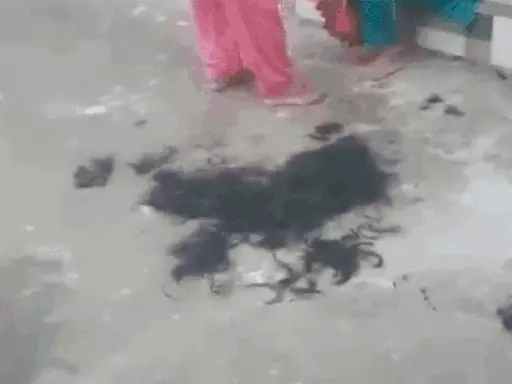 Woman Hair Cut Face Blackened In Hamirpur Woman Hair Cut Face Blackened In Hamirpur