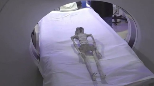 alien world news, maxico news