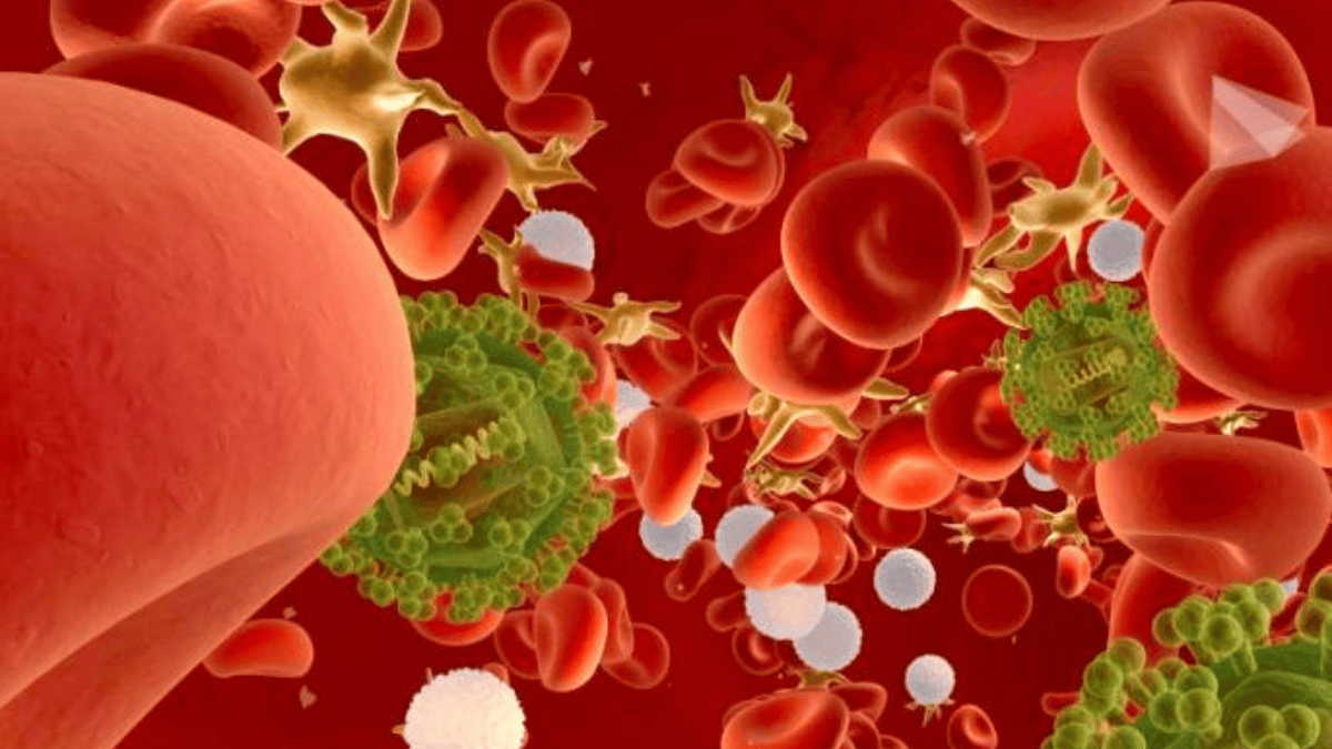 big success in cure for HIV Drugs, HIV, AIDS