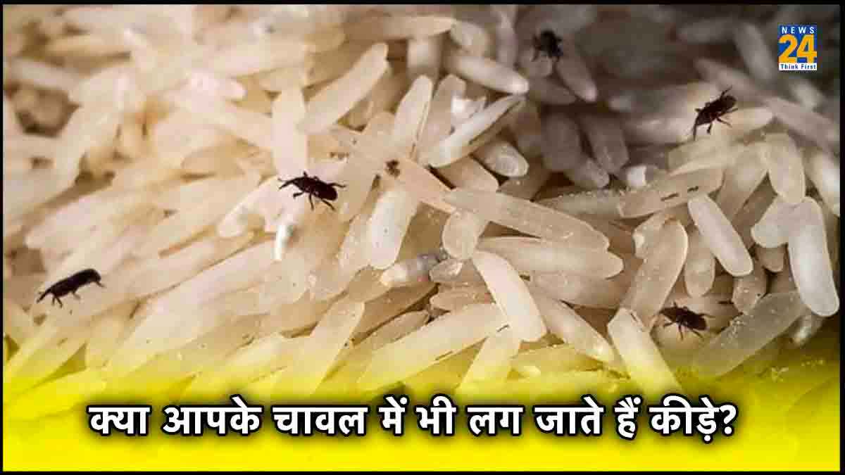 Kitchen Hacks: अब चावल में नहीं लगेंगे कीड़े, बस इन तरीकों से करें स्टोर