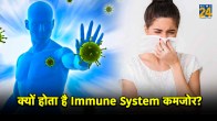 weak immune system test,weak immune system symptoms,how to fix a weak immune system,signs your immune system is fighting a virus,what happens when your immune system fails,weak immune system disease,weak immune system test nhs,low immune system nhs