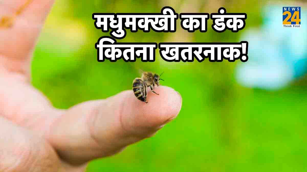 bee sting treatment,bee sting swelling treatment,bee sting reactions 2 days later,what does a bee sting look like,honey bee sting,bee sting symptoms,how long does it take to have an allergic reaction to a bee sting,bee sting allergy treatment