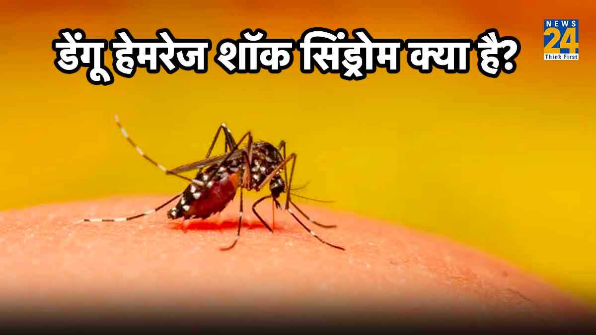 Dengue dengue shock syndrome treatment,dengue hemorrhagic shock management,dengue shock syndrome symptoms,dengue shock syndrome who guidelines,dengue shock syndrome criteria,dengue shock syndrome pdf,dengue shock syndrome survival rate,dengue shock syndrome fluid management,dengue shock syndrome survival rate,dengue shock syndrome in pediatrics,dengue shock syndrome criteria