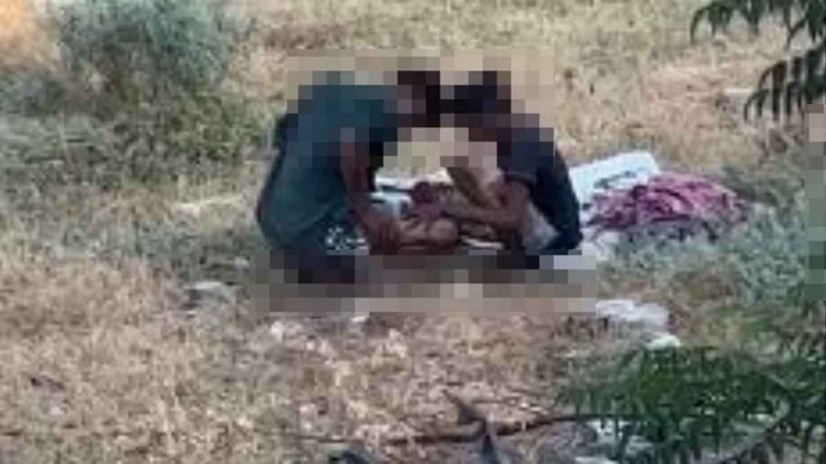 image - 2023-09-11T134451.929