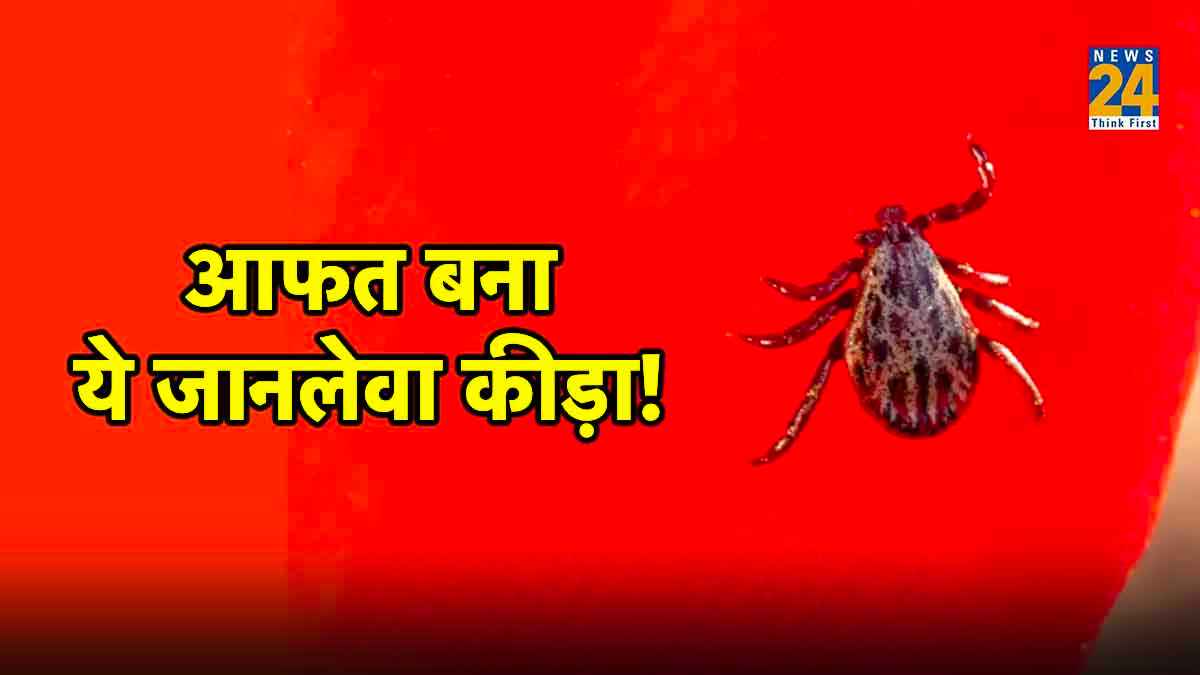 ये है जानलेवा कीड़ा, काटते ही ले लेता है जान! जानें संक्रमण और उसकी पहचान