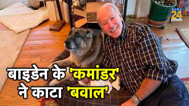 US President Biden Dog Commander Bites Secret Service Agent