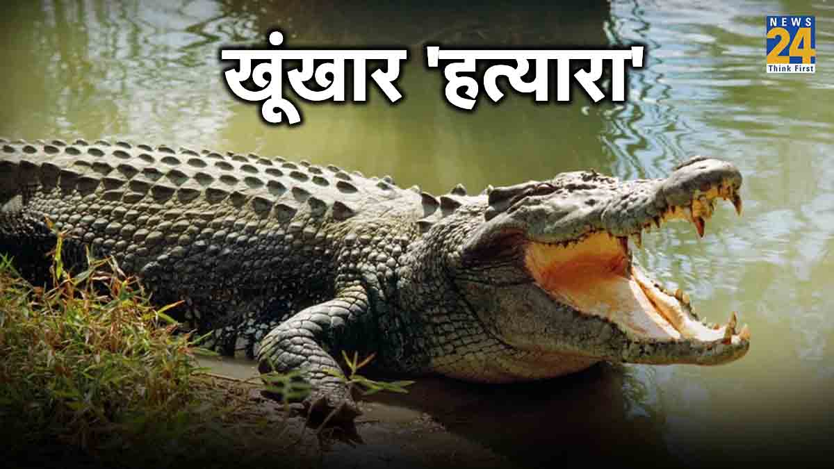 Crocodile Killed Young Man