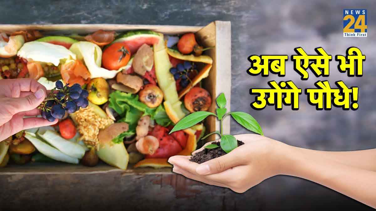 Lab-Grown Fruits: बिना बीजों के भी उगेंगे पेड़-पौधे, फलों के छिलकों पर हो रहा है ये शोध