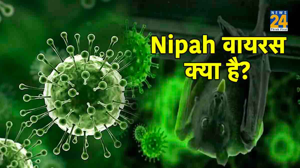Nipah Virus nipah virus treatment,nipah virus symptoms,nipah virus in india,nipah virus outbreak,nipah virus transmission,nipah virus vaccine,nipah virus symptoms and treatment,nipah virus origin,nipah virus symptoms and treatment,nipah virus treatment,what is the first symptoms of nipah virus,nipah virus prevention,nipah virus vaccine,nipah virus symptoms in hindi,nipah virus incubation period,nipah virus transmission