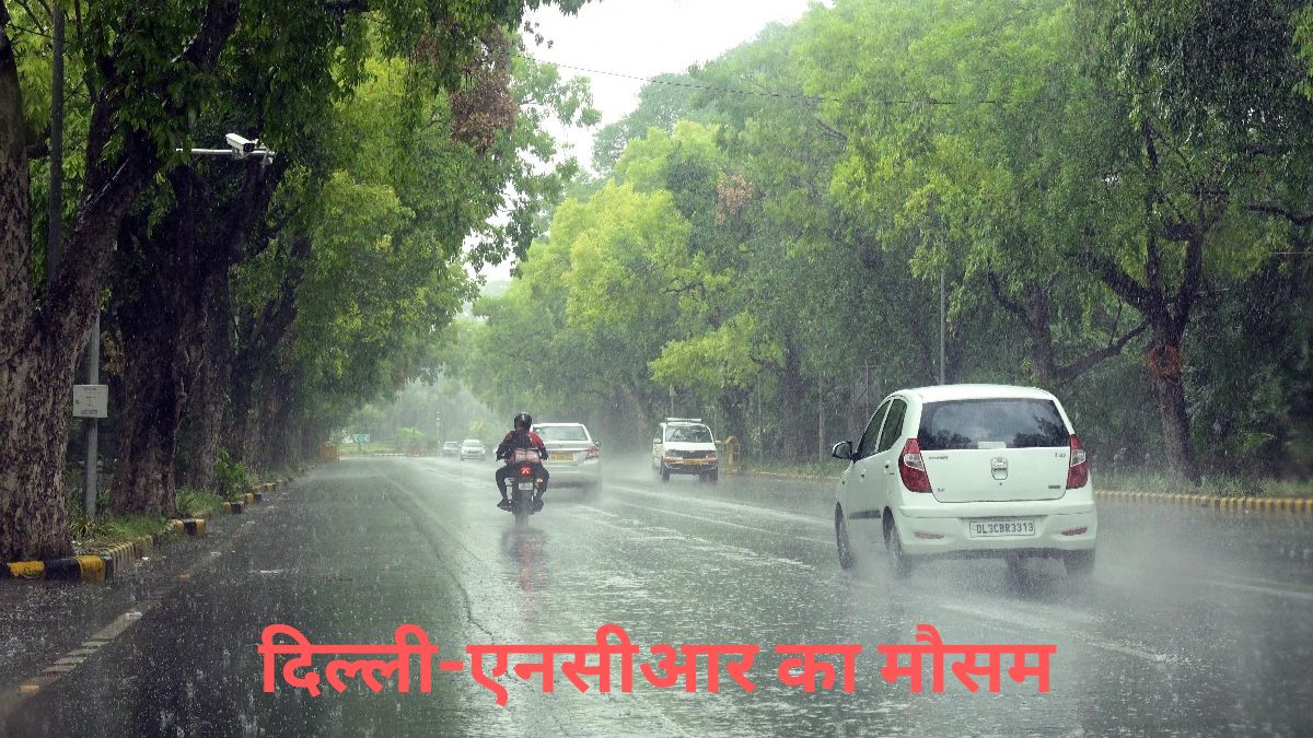 Delhi NCR Weather Forecast