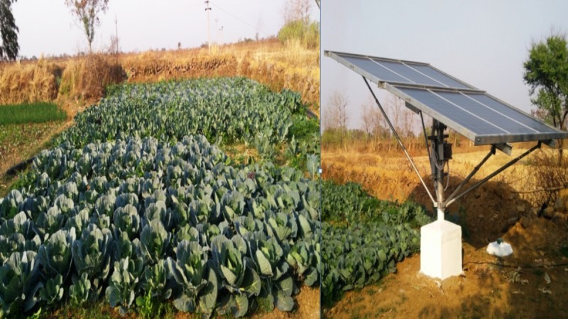 Solar Sujala Scheme, Chhattisgarh Government, Mahasamund News, Chhattisgarh News, Raipur News